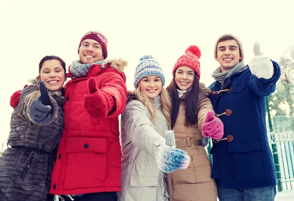Gruppe lächelnder Männer und Frauen im Winterwald — Stockfoto