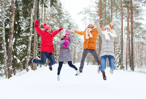 Groep glimlachend mannen en vrouwen in winter forest Stockfoto