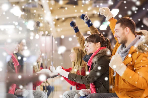 Happy friends watching hockey game on skating rink — Stock Photo, Image