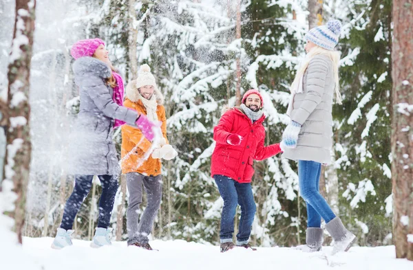 Skupina happy přátel hrát sněhové koule v lese — Stock fotografie