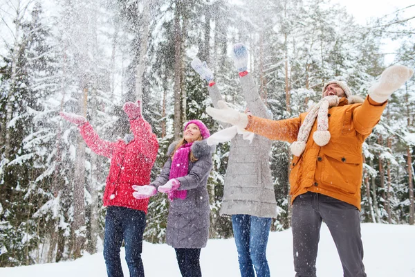 Group of smiling men and women in winter forest — Stock Photo, Image