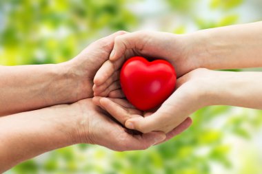 senior and young woman hands holding red heart clipart