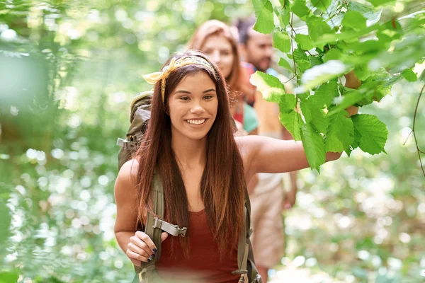 Groupe d'amis souriants avec sacs à dos randonnée — Photo