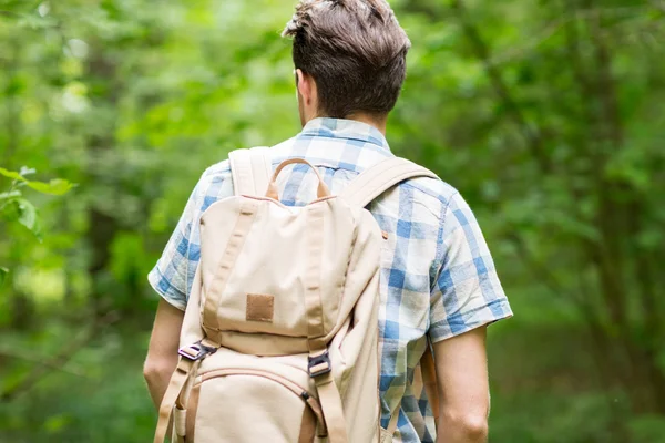 Young man with backpack hiking in woods — Stock Photo, Image