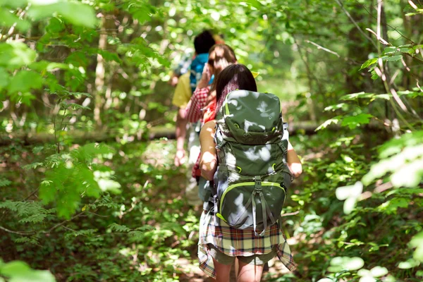 Close up of friends with backpacks hiking — Stock Photo, Image