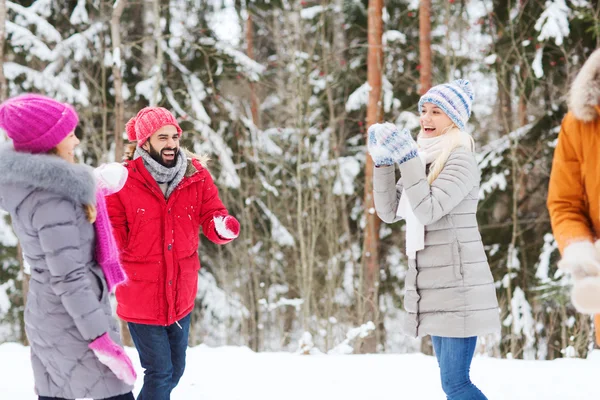 Amici felici giocando palla di neve nella foresta invernale — Foto Stock