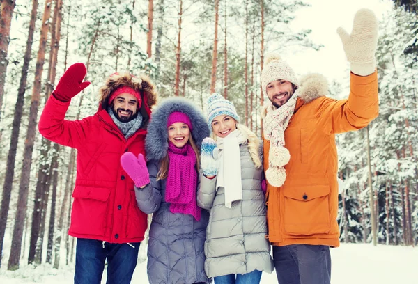 Grupo de amigos acenando as mãos na floresta de inverno — Fotografia de Stock