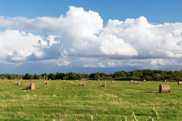 Pajar o rollos de heno en el campo de verano —  Fotos de Stock