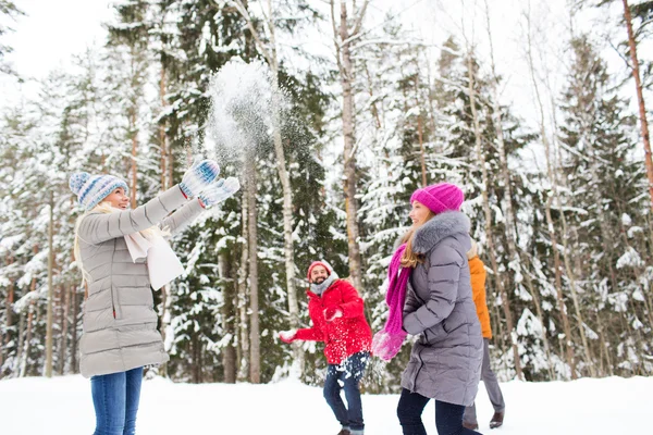 Group of smiling men and women in winter forest — Stock Photo, Image