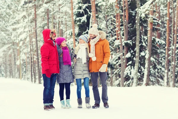 Groupe d'hommes et de femmes souriants dans la forêt d'hiver — Photo