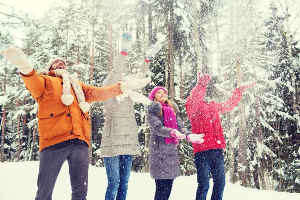 Grupo de homens e mulheres sorridentes na floresta de inverno — Fotografia de Stock