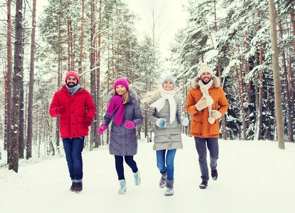 Grupo de hombres y mujeres sonrientes en el bosque de invierno — Foto de Stock