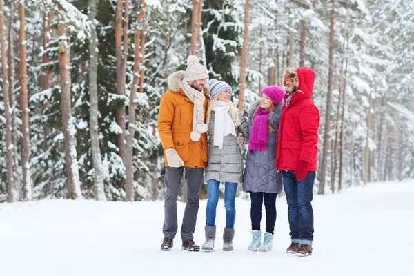 Gruppe af smilende mænd og kvinder i vinterskoven - Stock-foto