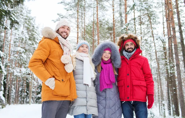 Groupe d'hommes et de femmes souriants dans la forêt d'hiver — Photo