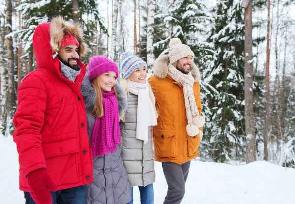 Группа улыбающихся мужчин и женщин в зимнем лесу — стоковое фото
