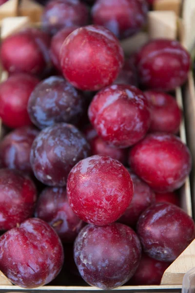 Close up of satsuma plums in box at street market — Stock Photo, Image