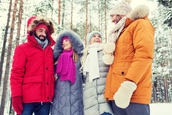 Groupe d'hommes et de femmes souriants dans la forêt d'hiver — Photo