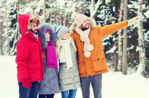 Group of smiling men and women in winter forest — Stock Photo, Image