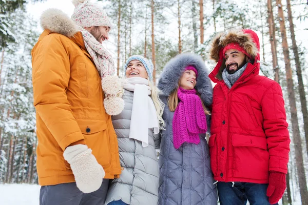 Groep glimlachend mannen en vrouwen in winter forest — Stockfoto