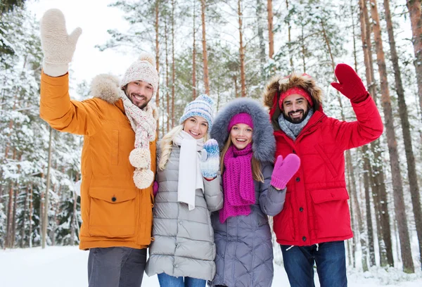 Grupo de amigos acenando as mãos na floresta de inverno — Fotografia de Stock