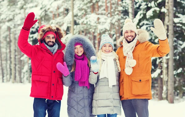 Grupo de amigos acenando as mãos na floresta de inverno — Fotografia de Stock