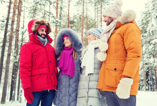 Grupo de homens e mulheres sorridentes na floresta de inverno — Fotografia de Stock
