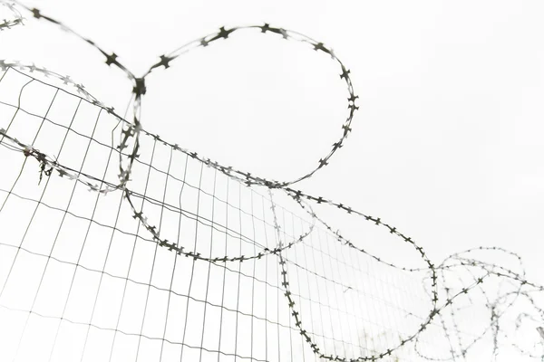 Barb wire omheining over grijze hemel — Stockfoto