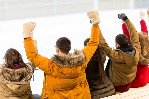 Happy friends supporting team on ice rink arena — Stock Fotó