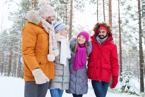 Groupe d'hommes et de femmes souriants dans la forêt d'hiver — Photo