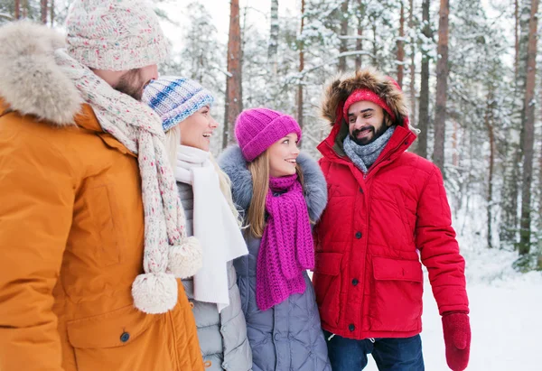 Grupp av leende män och kvinnor i vinter skog — Stockfoto