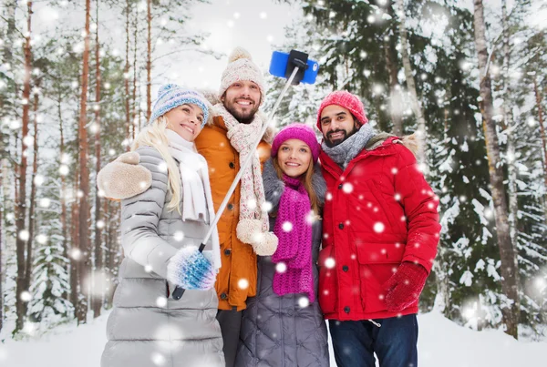 Усміхнені друзі зі смартфоном в зимовому лісі — стокове фото