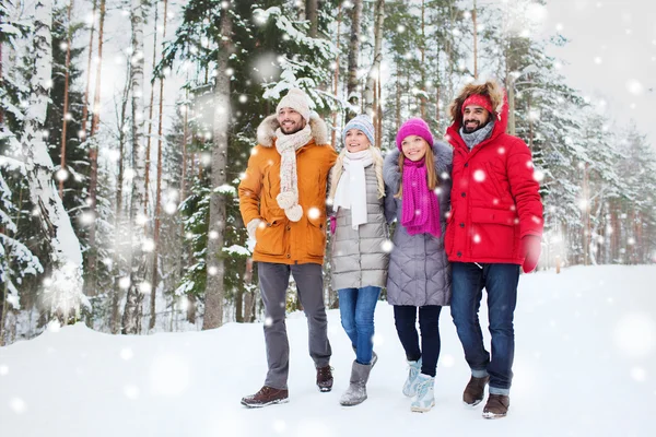 Groep glimlachend mannen en vrouwen in winter forest — Stockfoto