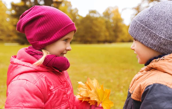 Kleine jongen met najaar esdoorn bladeren geven meisje — Stockfoto