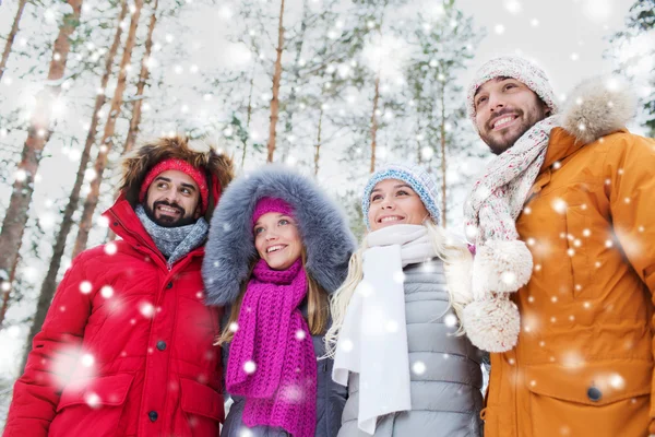 Gruppo di uomini e donne sorridenti nella foresta invernale — Foto Stock