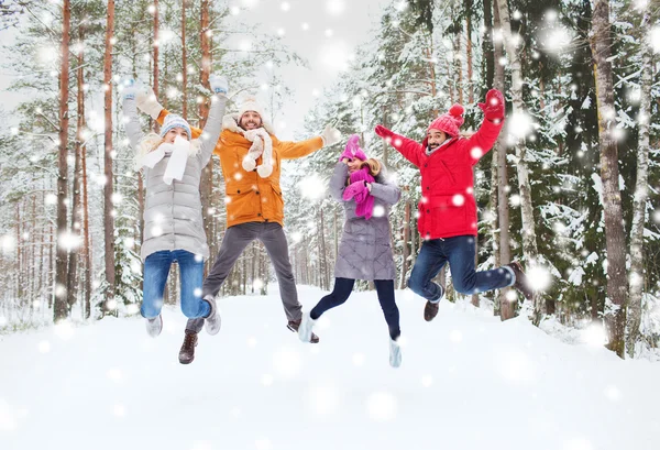 Grupo de hombres y mujeres sonrientes en el bosque de invierno —  Fotos de Stock