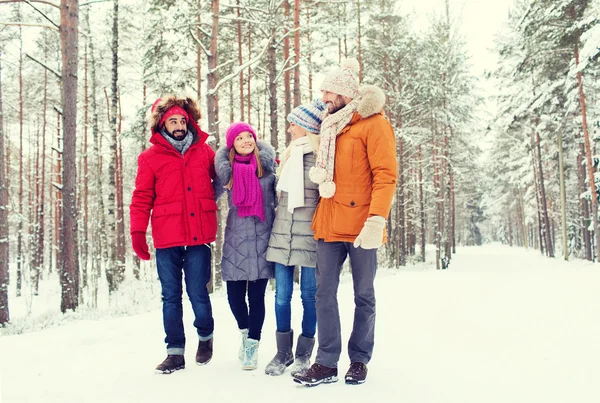 Groupe d'hommes et de femmes souriants dans la forêt d'hiver — Photo