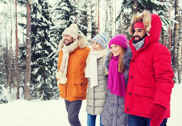 Groupe d'hommes et de femmes souriants dans la forêt d'hiver — Photo