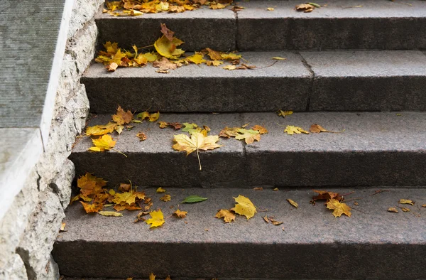 Gros plan des feuilles d'érable tombées sur des escaliers en pierre — Photo