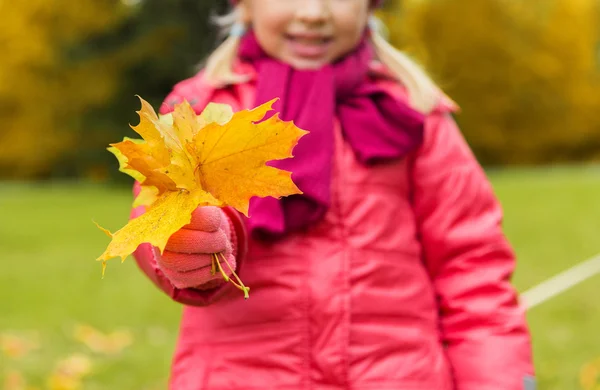 Close up of happy girl with autumnn maple leaves — 图库照片