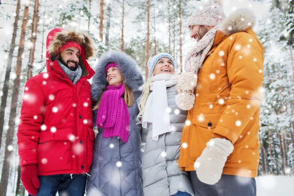 Grupo de hombres y mujeres sonrientes en el bosque de invierno — Foto de Stock