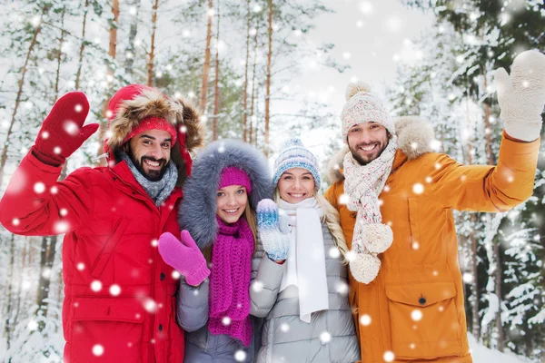 Groep vrienden handen zwaaien in winter forest — Stockfoto