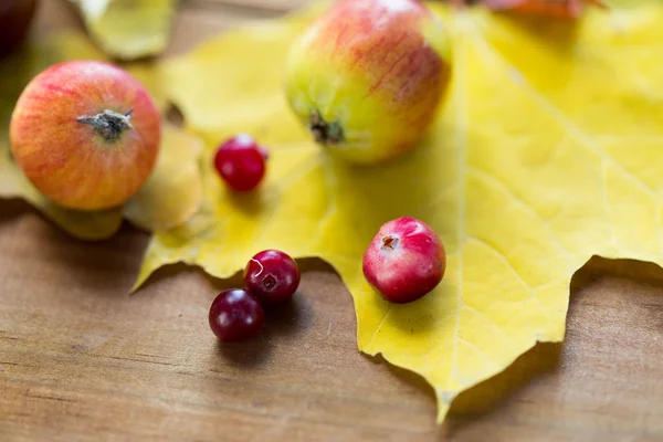 Nahaufnahme von Herbstblättern, Früchten und Beeren — Stockfoto