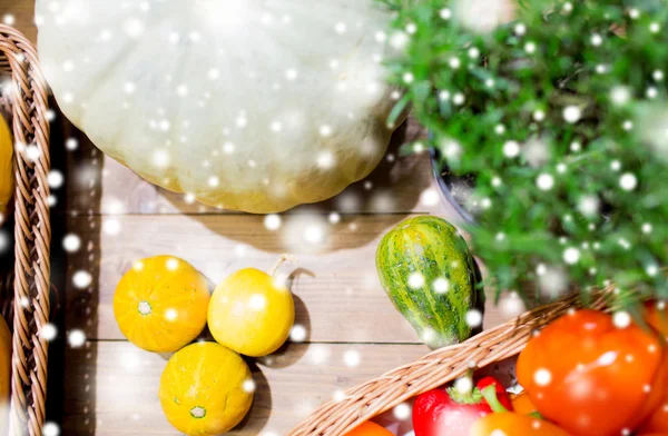 Vegetables in baskets on table at market or farm — Stock Photo, Image