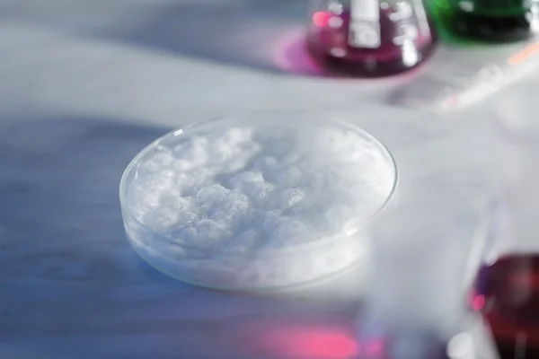 Primer plano de la placa de Petri con sustancia química en el laboratorio — Foto de Stock