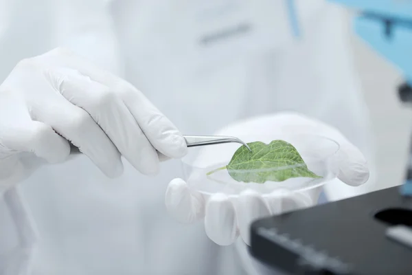 Close up of hand with microscope and green leaf — Stock Photo, Image