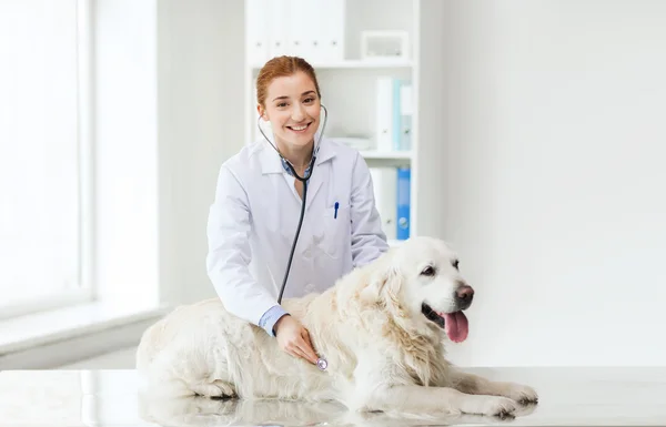 Mulher feliz com cão e médico na clínica veterinária — Fotografia de Stock