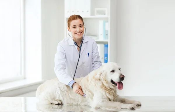 Femme heureuse avec chien et médecin à la clinique vétérinaire — Photo