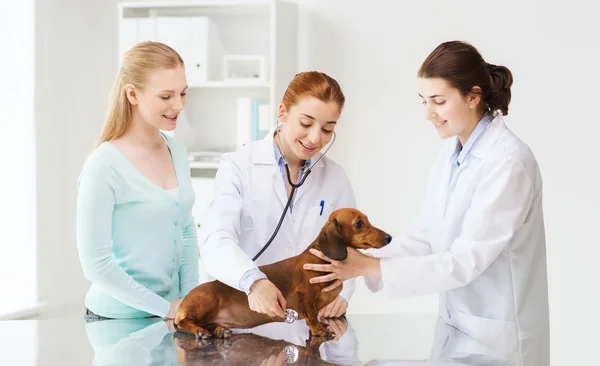 Mulher feliz com cão e médico na clínica veterinária — Fotografia de Stock