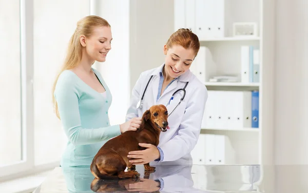Gelukkige vrouw met hond en arts bij de kliniek van de dierenarts — Stockfoto