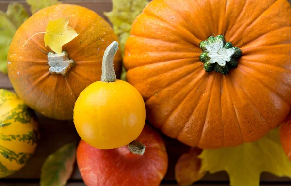 Närbild på pumpor på träbord hemma — Stockfoto